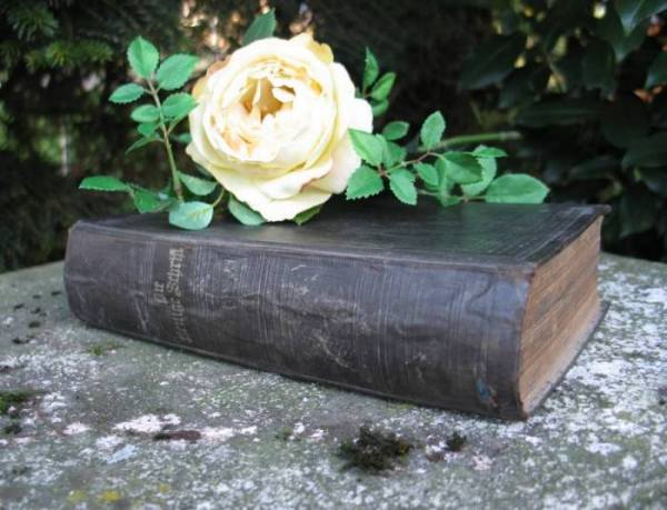 Die Heilige Schrift