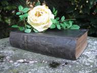 Die Heilige Schrift