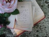 Schiller's Gedichte