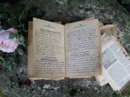 Uromas Kochbuch