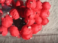 Dotterblume rot 72tlg. 10.00
