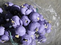 Dotterblume flieder 72tlg. 10.00