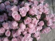 R&ouml;schen mit Blatt rosa 144tlg. 17.00