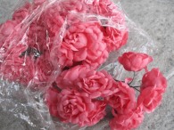 Rose offen altrosa 72tlg. 15.00