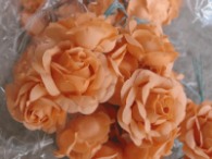 Rose offen lachs 72tlg. 15.00