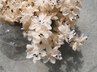 Sternblume beige 144tlg. 15.00