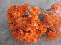 Sternblume orange 144tlg. 15.00